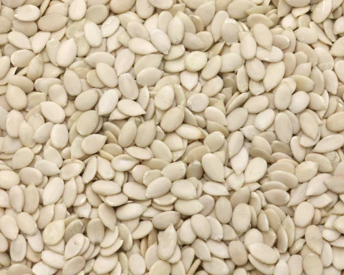 Musk Melon Seeds Kharbooja